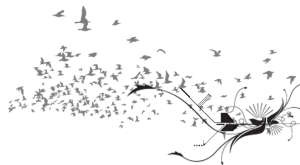 contact_design